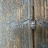 Dottilove Ring knijp 14044490 Dottilove Ring knijp 14044490