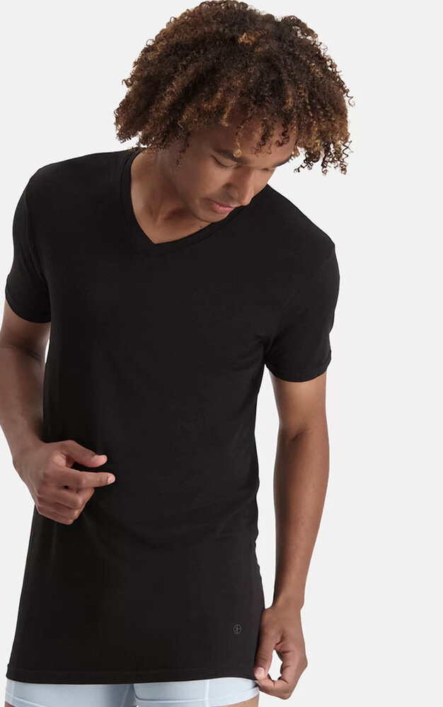 Bamboo Basics T-Shirt v-neck 2 pack Velo-LF Bamboo Basics T-Shirt v-neck 2 pack Velo-LF