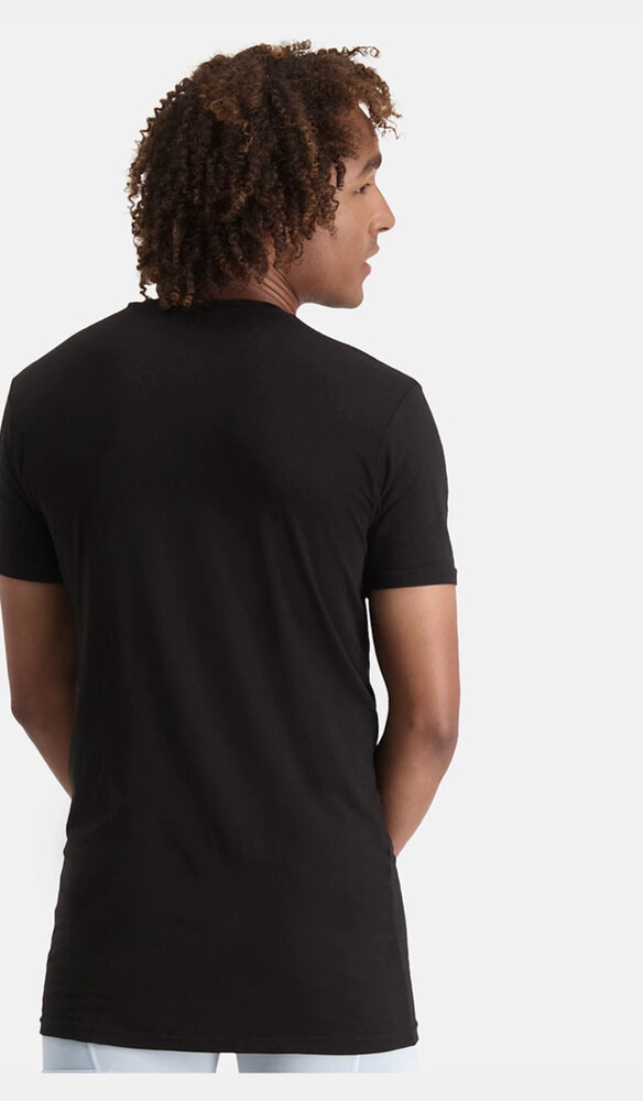 Bamboo Basics T-Shirt v-neck 2 pack Velo-LF Bamboo Basics T-Shirt v-neck 2 pack Velo-LF