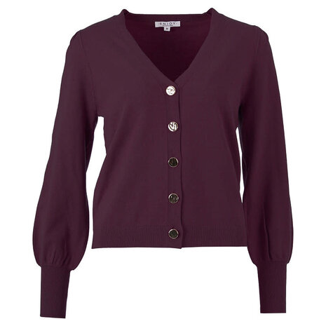 Enjoy Gebreid vestje v-hals kopen 890502