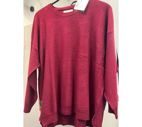 Trui rh sparkel detail 16370 Trui rh sparkel detail 16370