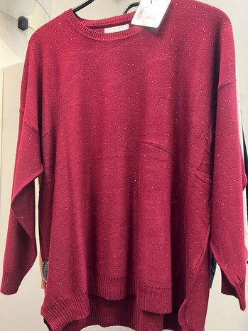 Trui rh sparkel detail 16370 Trui rh sparkel detail 16370