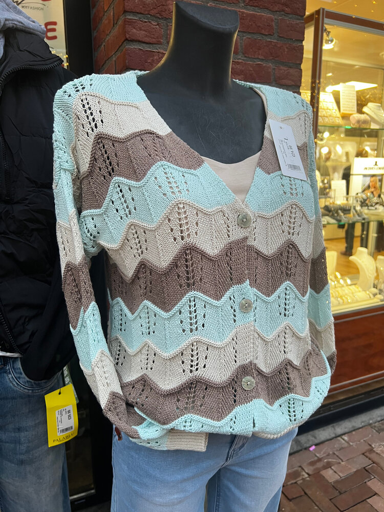 Vestje knoopsluiting Pipa