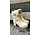"Color: Ecru","Size: 41"