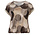 "Color: Zwart","Size: XL"