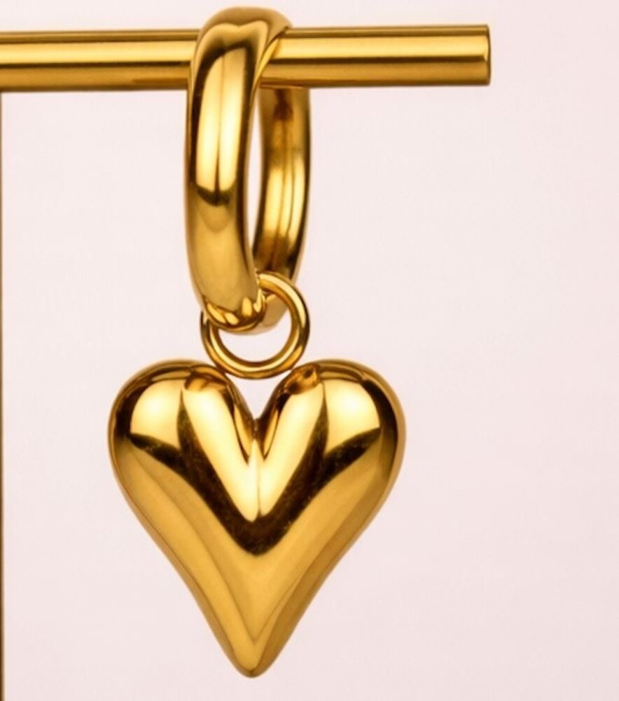 Claston Luxury Earring Love Rings 2501-00