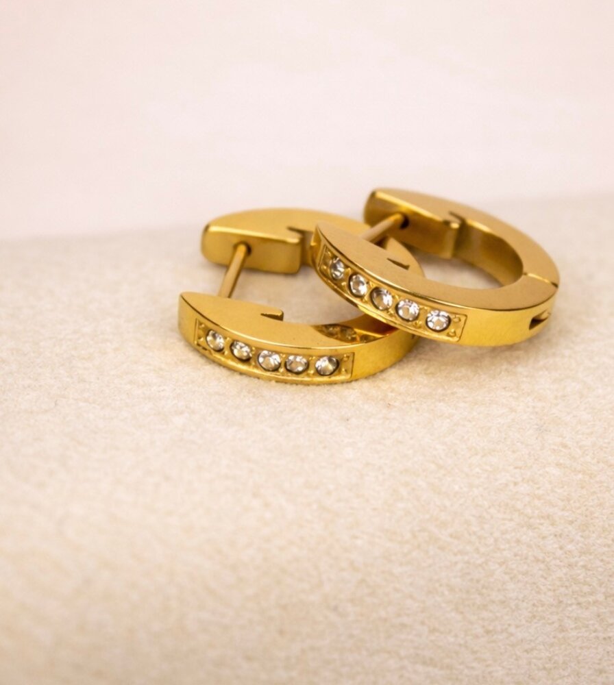 Claston Luxury Earrings Classic Gems 2501-17