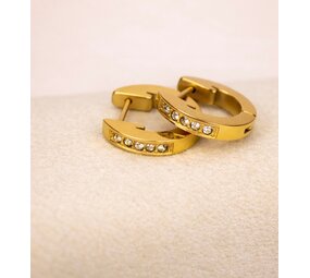 Claston Luxury Earrings Classic Gems 2501-17