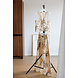 Ivy Beau Broek dierenprint Katie Ivy Beau Broek dierenprint Katie