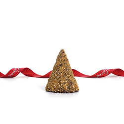 Weihnachtsbaum-Haselnuss