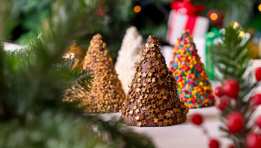 Find the nicest and tastiest Christmas chocolate for under the tree here!