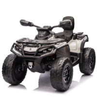 Can-am Outlander Quad Électrique enfant 24V 2 places Gris