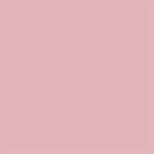 I.Am Acrylic Powder Natural Mix (250gr)