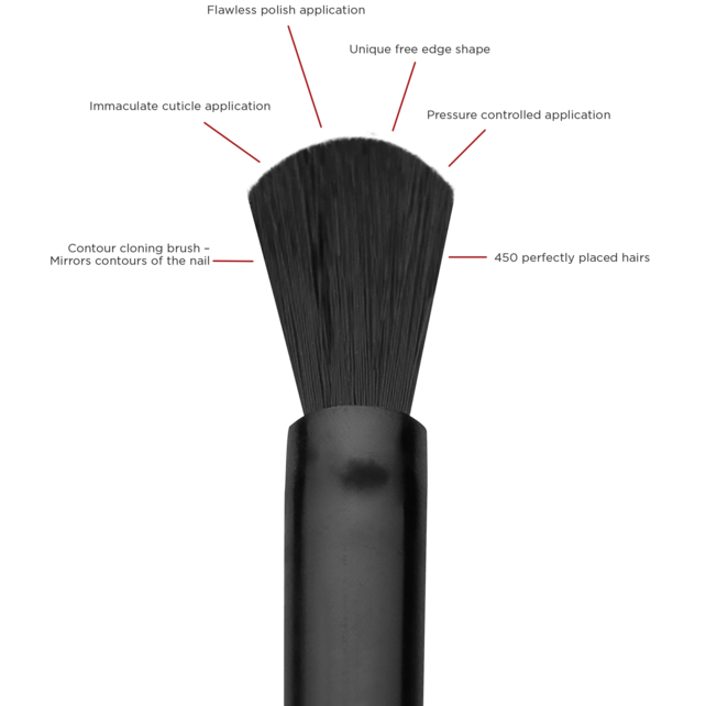 I.Am Brush Builder  Sheer Pink (15ml) I.Am Brush Builder  Sheer Pink (15ml)