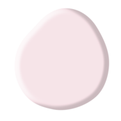 Rubber Base Collection Kit Rubber Base Collection Kit