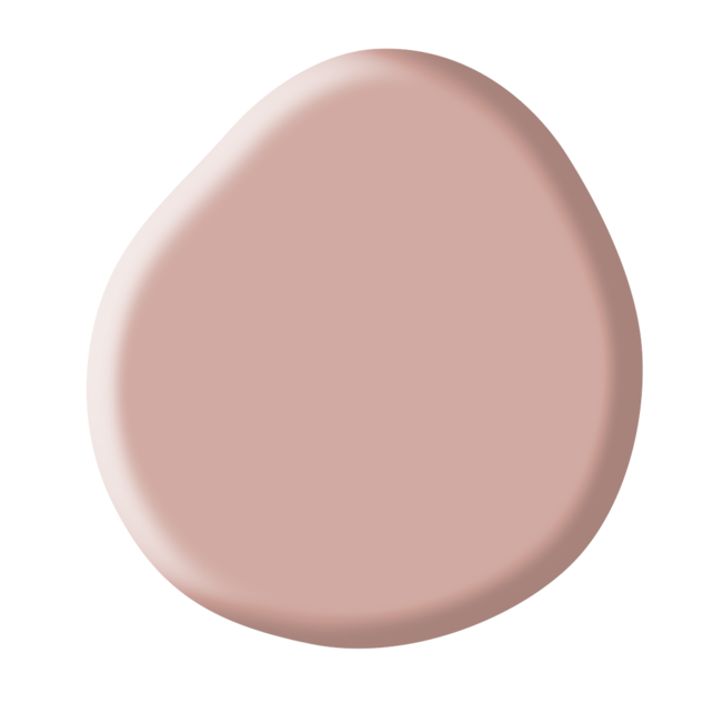 Rubber Base Collection Kit Rubber Base Collection Kit