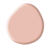 Rubber Base Collection Kit Rubber Base Collection Kit