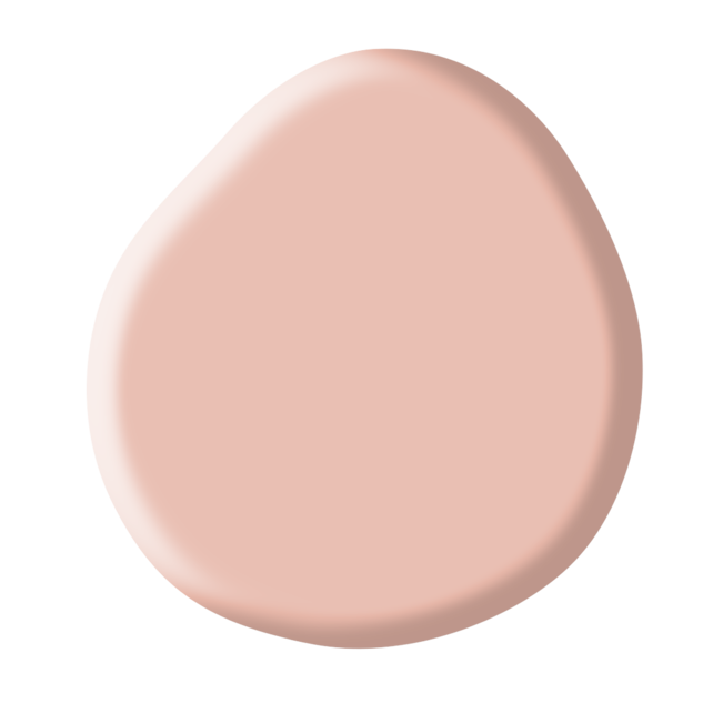 Rubber Base Collection Kit Rubber Base Collection Kit