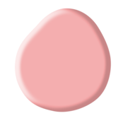 Rubber Base Collection Kit Rubber Base Collection Kit