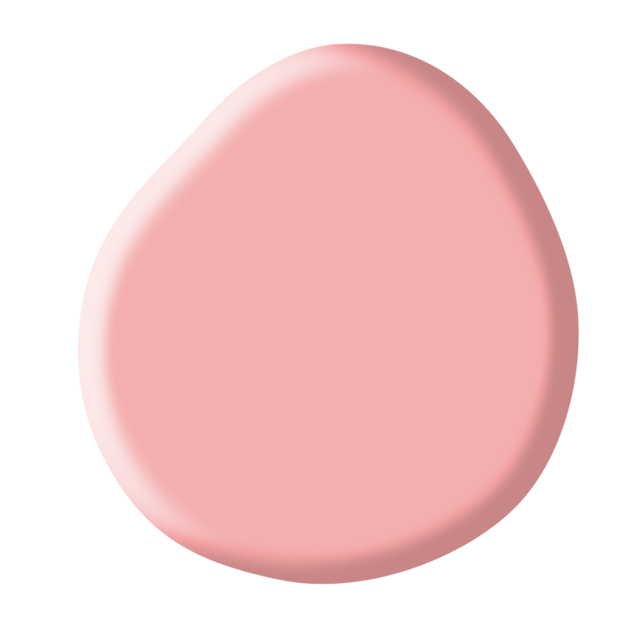 Rubber Base Collection Kit Rubber Base Collection Kit