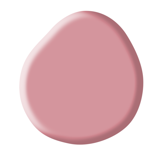 Brush Builder Collection Brush Builder Collection