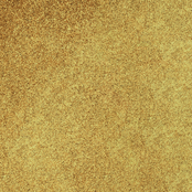 I.Am by BO. Soak Off Gel Polish #132 Guilded Glitter (15ml)