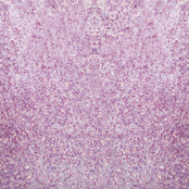 I.Am by BO. Soak Off Gel Polish #105 Ballroom Glow (15ml)