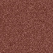 I.Am by BO. Limited Edition Gel Polish Bronze Brilliance (15ml)