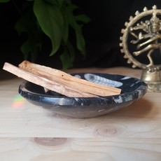 Terra Vita Small Bowl in Fossilized Orthoceras Marble