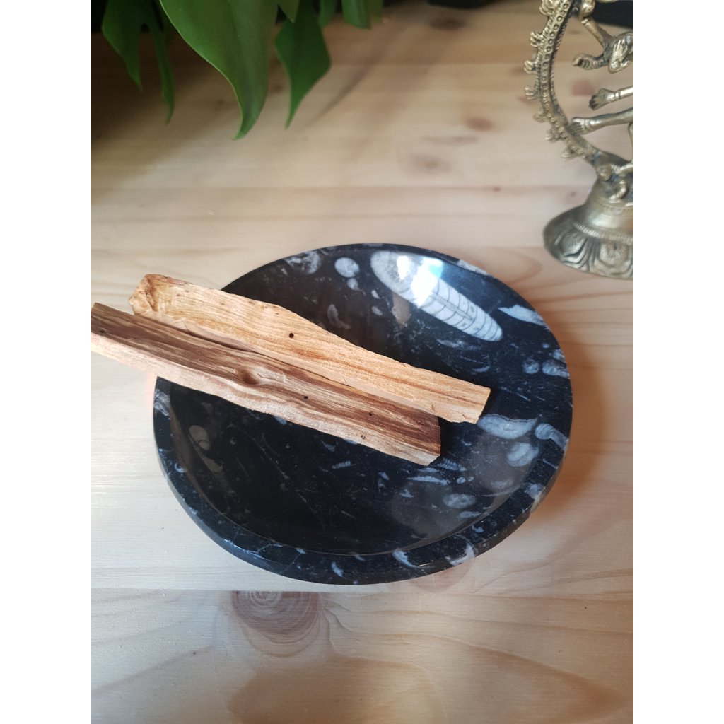 Terra Vita Small Bowl in Fossilized Orthoceras Marble