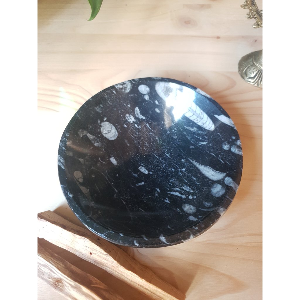 Terra Vita Small Bowl in Fossilized Orthoceras Marble