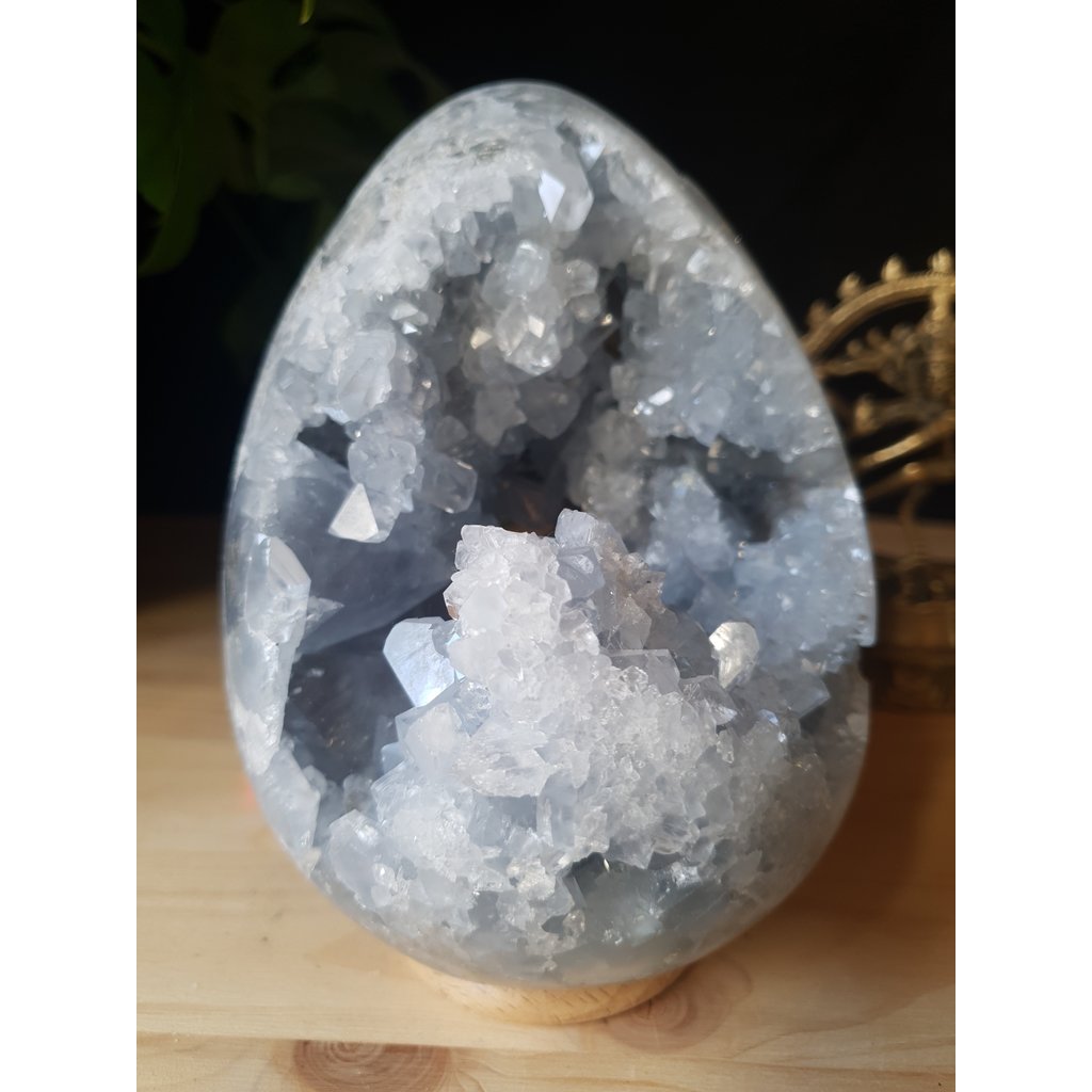 Terra Vita Geode Celestite  Egg