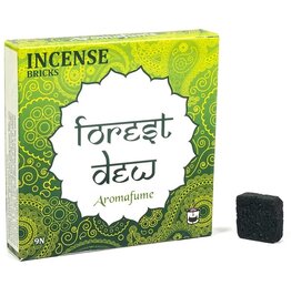 Aromafume Icense Bricks  | Forest Dew (9pcs)