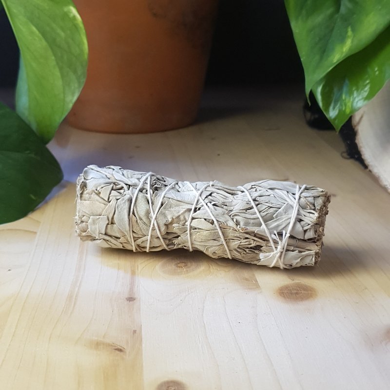 Terra Vita White Sage (10cm)