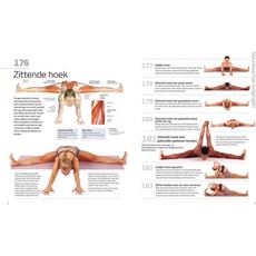 Nancy J. Hajeski 501 Yoga Oefeningen | NL