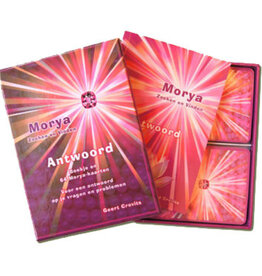 Geert Crevits Morya Search and Find: Answer | NL