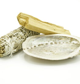 Terra Vita Gift Bundle | Abalone Shell With Smudge