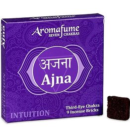 Aromafume Icense Bricks  | Sixth Chakra (9pcs)