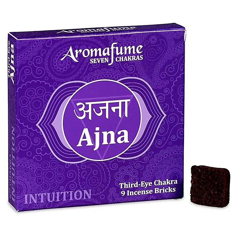 Aromafume Icense Bricks  | Sixth Chakra (9pcs)