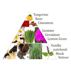 Aromafume Icense Bricks  | Second Chakra (9pcs)