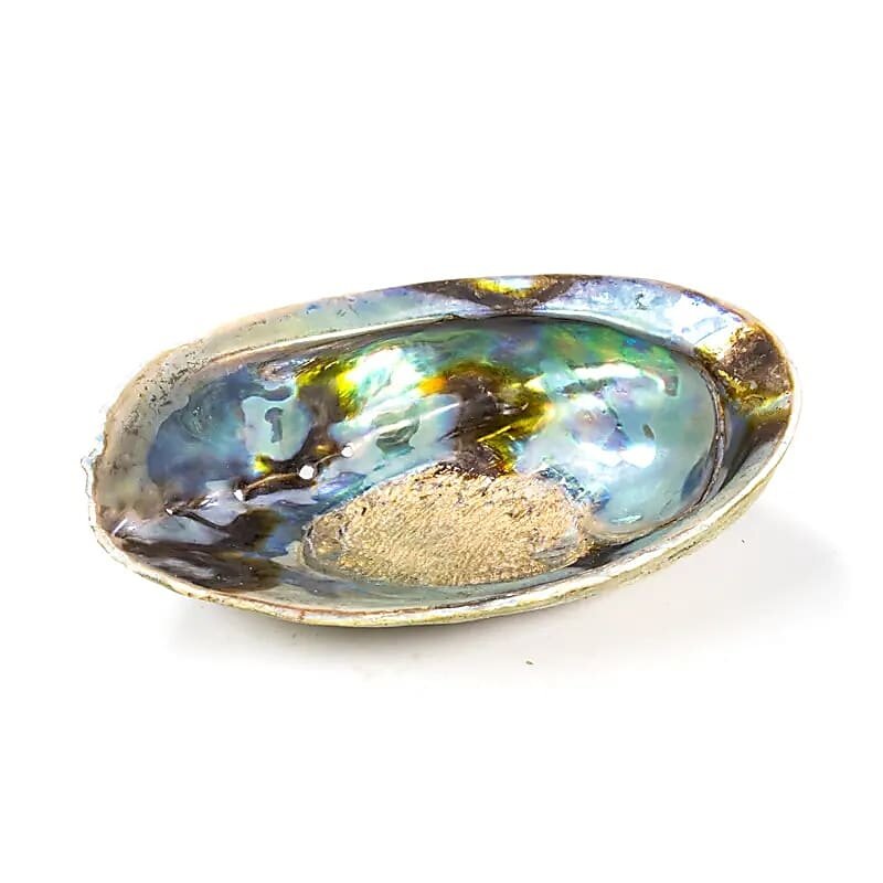 Terra Vita Regenboog Abalone Smudge Schelp | Extra Large