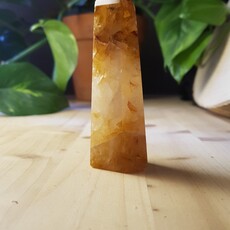 Terra Vita Golden Healer Pointe (7,5 cm)