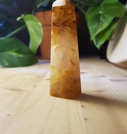 Terra Vita Golden Healer Punt (7,5 cm)