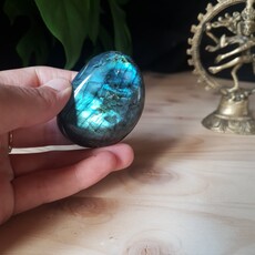 Terra Vita Labradorite Pierre de Palmier (4 cm)