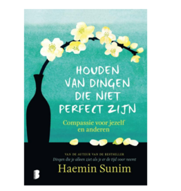 Haemin Sunim Houden van dingen die niet perfect zijn | NL