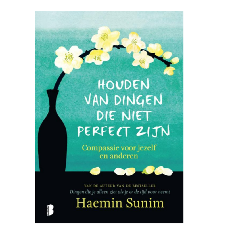 Haemin Sunim Houden van dingen die niet perfect zijn | NL