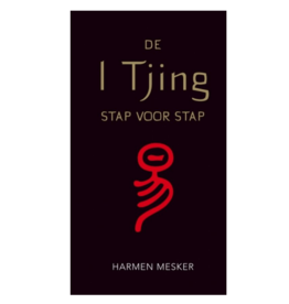 Harmen Mesker De I Tjing stap voor stap  | NL
