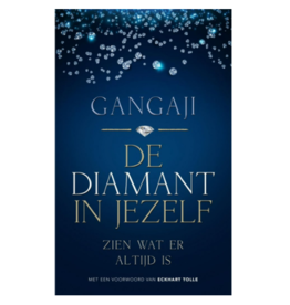 Pascale Bruinen De Diamant In Jezelf| NL