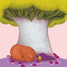 Pascale Pavy Meditaties Voor Kinderen (NL)