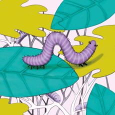 Pascale Pavy Meditaties Voor Kinderen (NL)